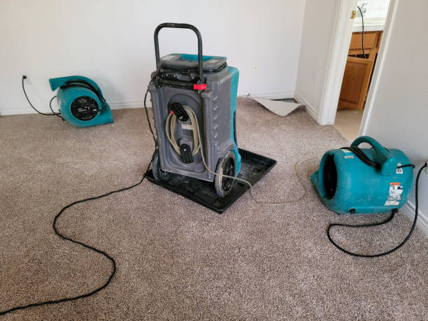 Carpet water damage restoration in Villanova, PA