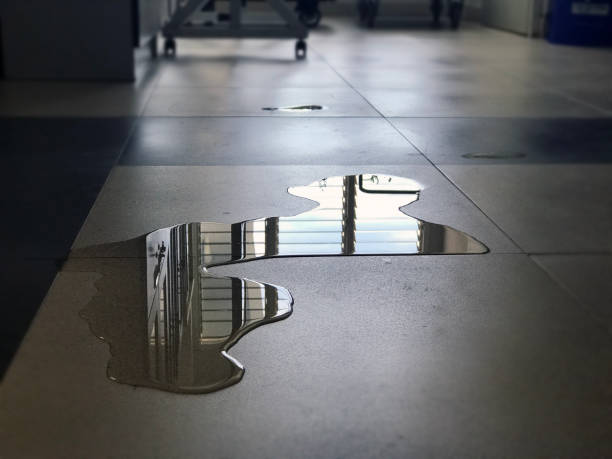 Best Water damage restoration near me  in Villanova, PA