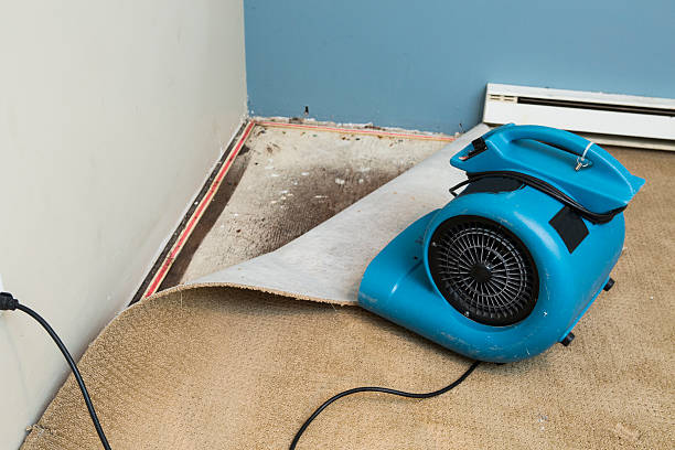 Best Water damage restoration near me  in Villanova, PA